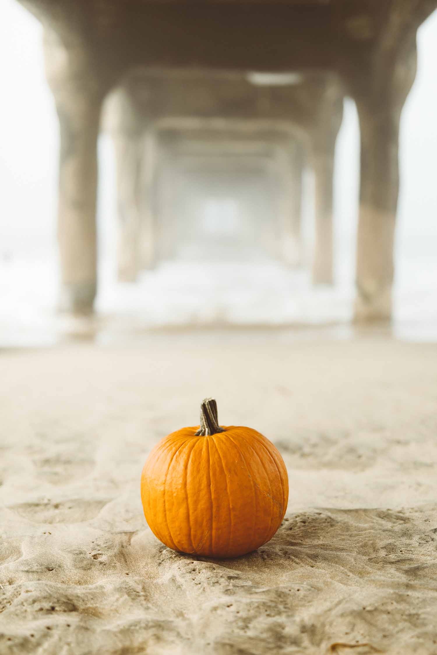 Beach Fall Photohshoot Ideas