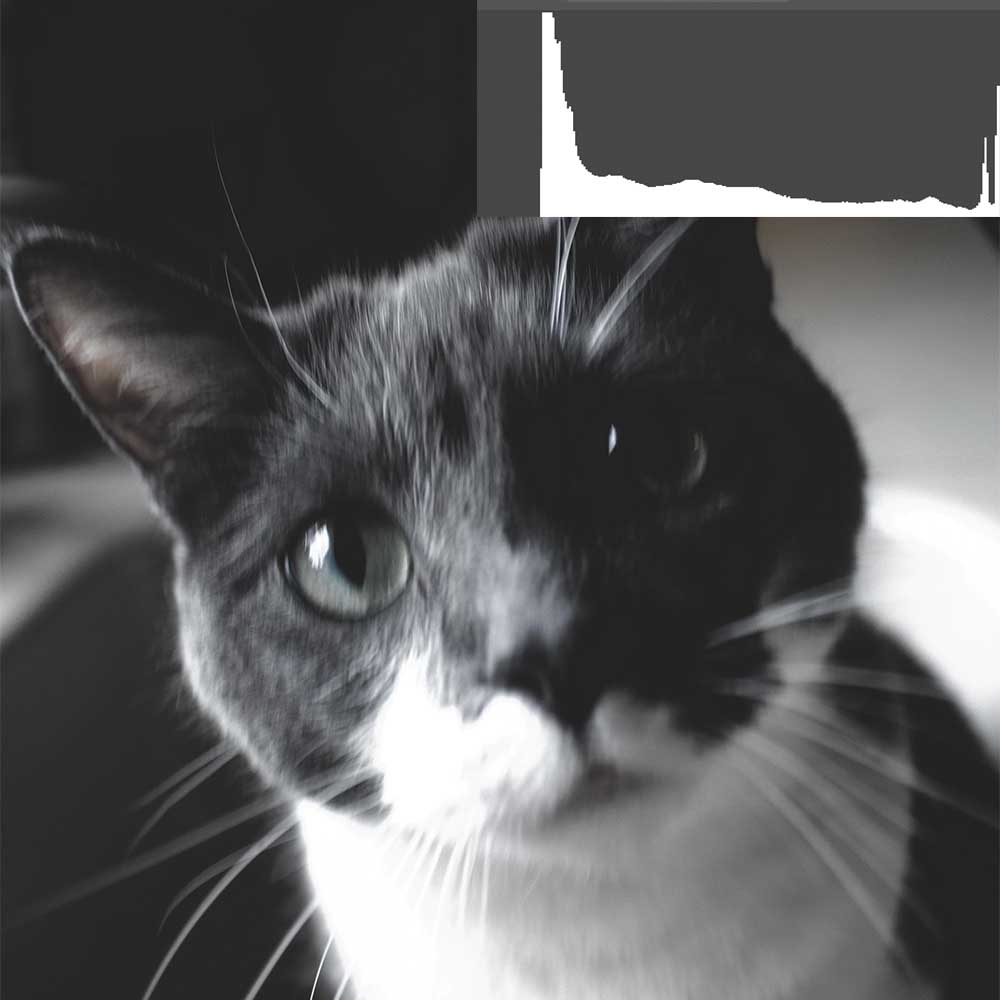 underexposed photograph example