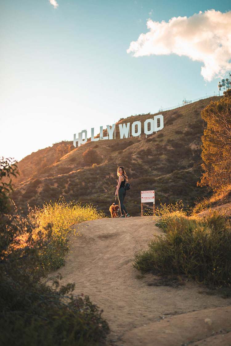 Hollywood Sign Los Angeles