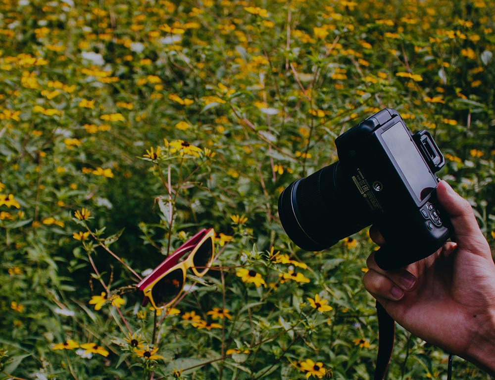 Photographer Holding a camera to flowers