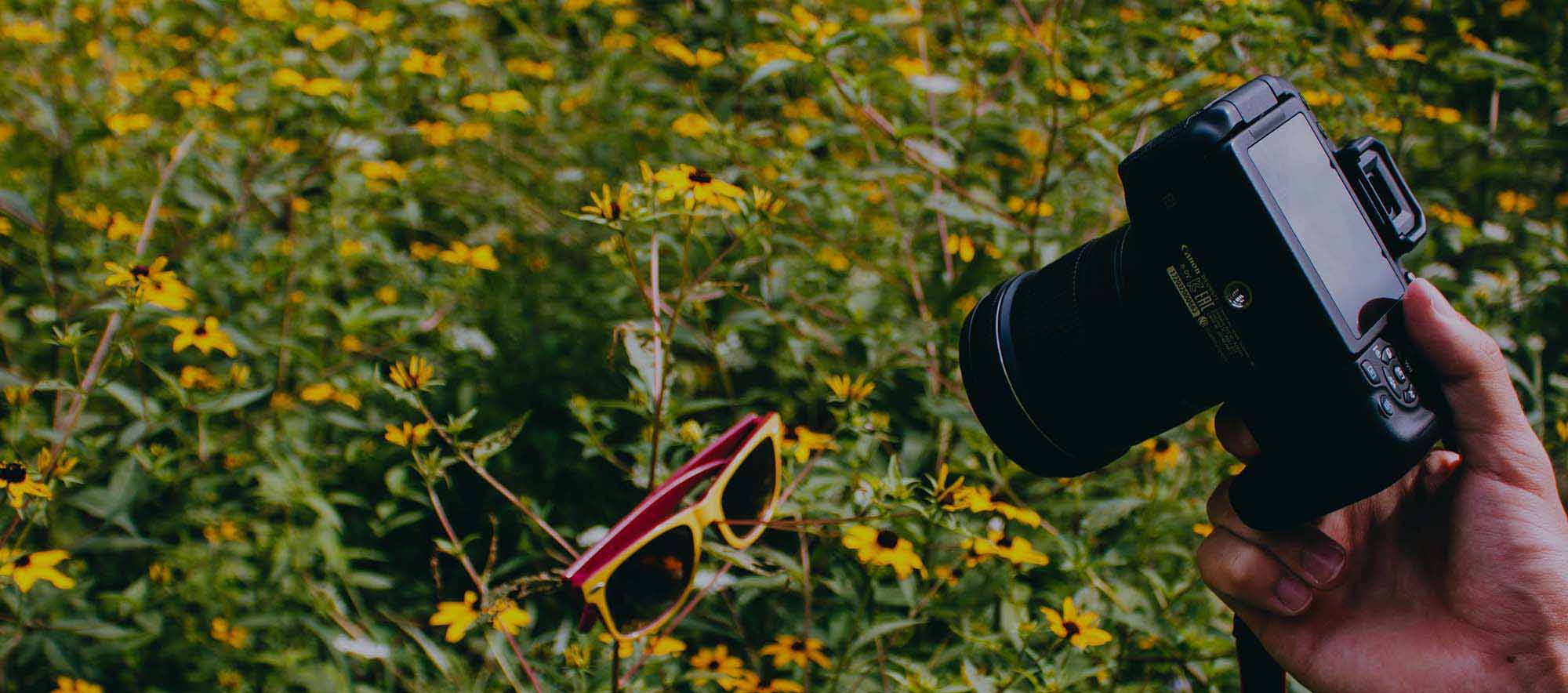 Camera being held towards flowers