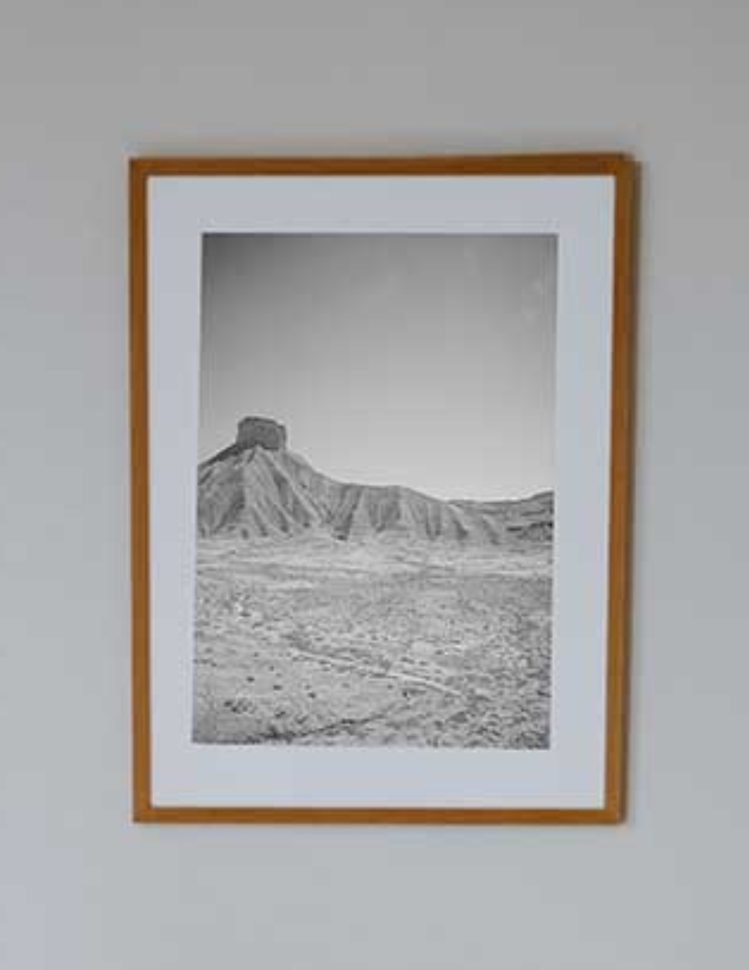 Buttle in the West Wall Décor for living room | Living Room Décor | Décor 2022 | 24x36 wall art print | Canvas Wall Art